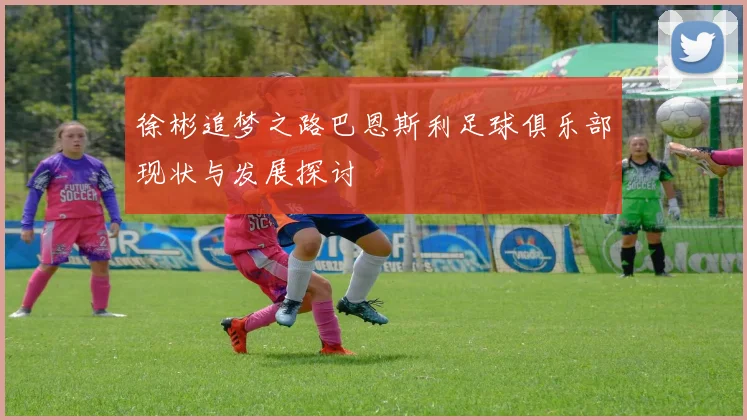 徐彬追梦之路巴恩斯利足球俱乐部现状与发展探讨